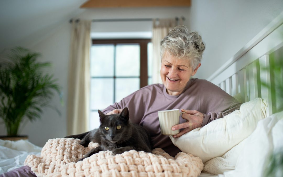 Best Pets for Seniors
